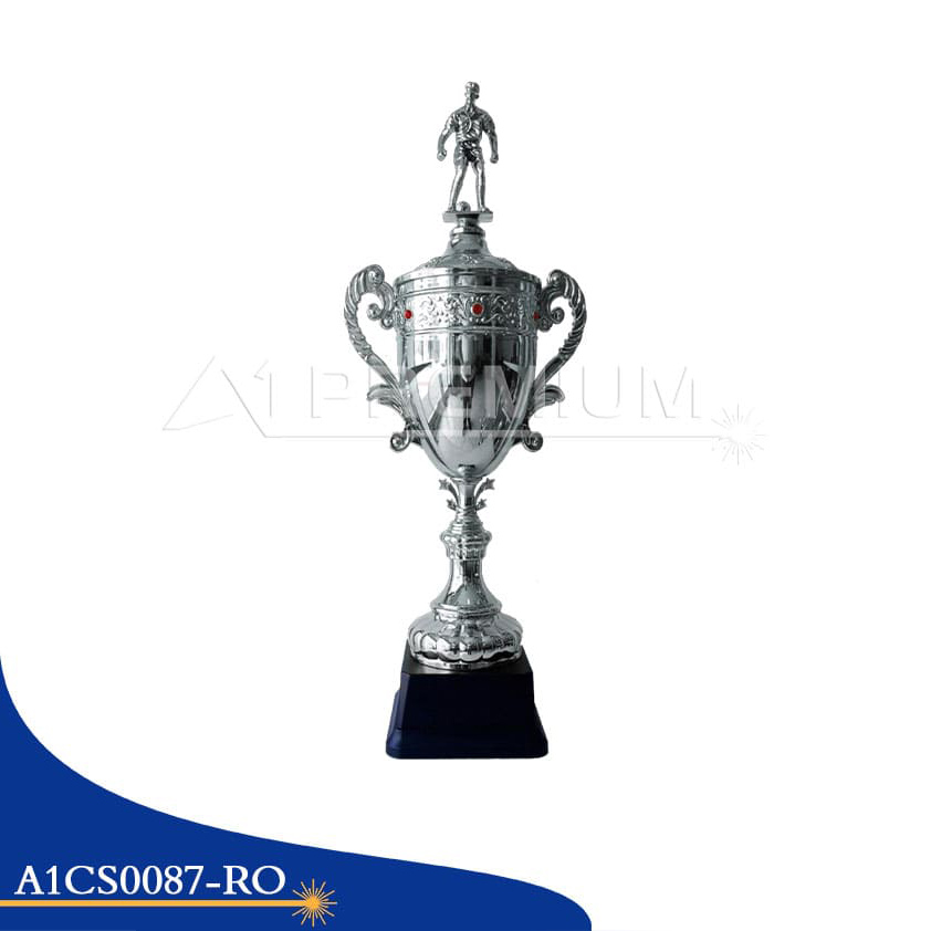 A1CS0087-RO