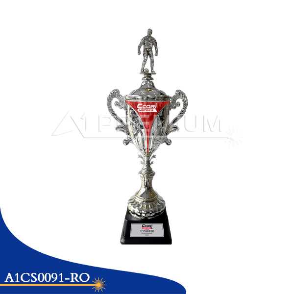 A1CS0091-RO