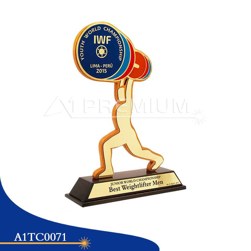 A1TC0071