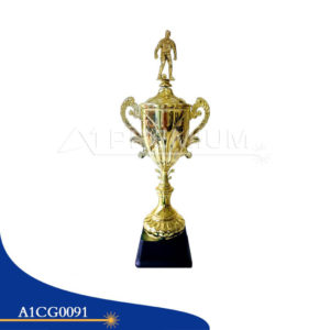 A1CG0091-CT