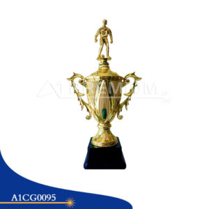 A1CG0095-CT