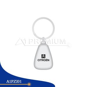 A1PZI01